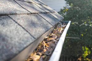 Blog 41 leaves in gutter