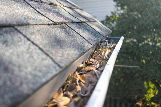 leaves in gutter