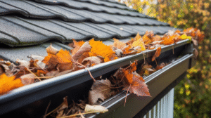 gutters that will be cleaned by guttergorilla