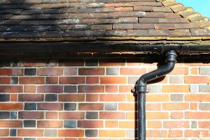 downpipe flushing service near me