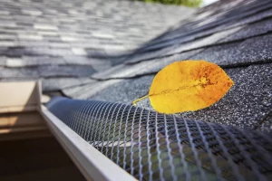 gutter guard installation Sydney