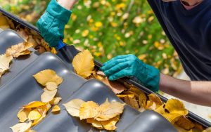 Blog 35 Gutter Cleaning Sydney