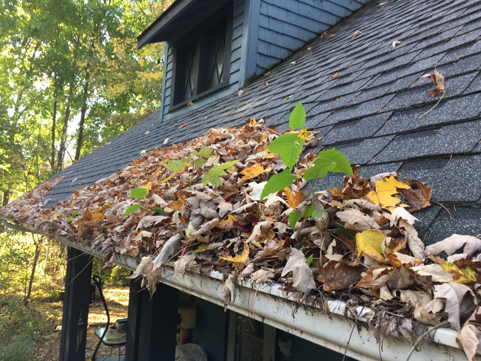 blocked gutter