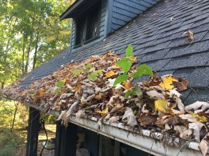 Blog 39 blocked gutter
