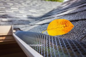 gutter guard