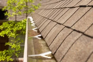 Blog 9 blocked gutter