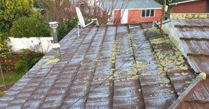 Blog 11 mouldy roof