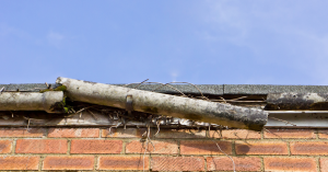 Blog 15 neglected gutter