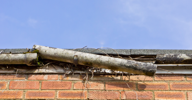 neglected gutter