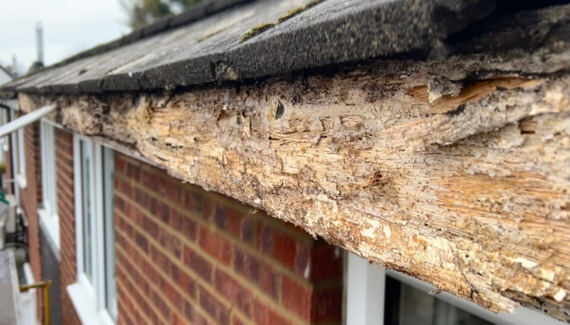 rotten fascia