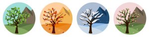 Blog 7 four seasons