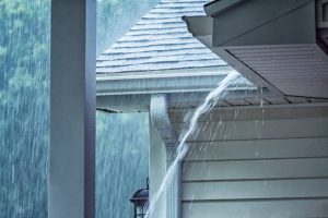Blog 15 winter rain