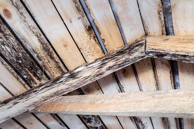 rotting roof