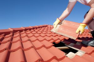 Blog 17 roof maintenance